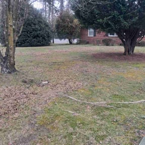 Bush Trimming by Cuts and such property maintenance reviewed on April 10, 2026