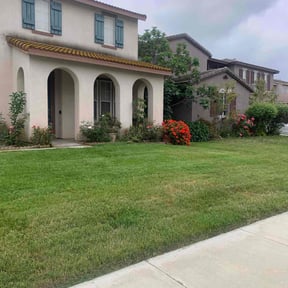 residential landscaping by Beautiful Home Services reviewed on August 20, 2025