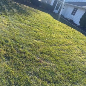Leaf Removal by The Clean Butler reviewed on October 10, 2026