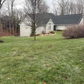 Leaf Removal by Aspiration Of Hope Inc reviewed on December 9, 2025