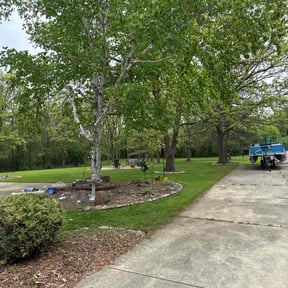 yard care by C&h lawn care reviewed on August 20, 2025