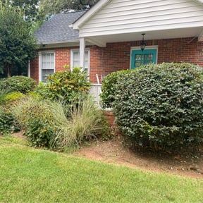 Bush Trimming by InAbind Mowing.. reviewed on August 21, 2025