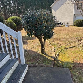 Bush Trimming by R&S Landscape Inc reviewed on August 16, 2025