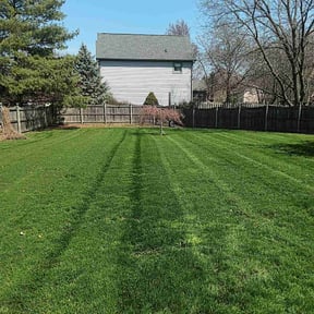 yard service by Neely’s lawn care reviewed on August 17, 2025