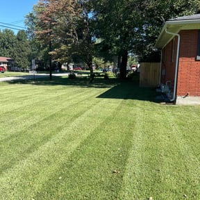 yard care by Waters Landscaping reviewed on August 18, 2025