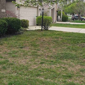 Bush Trimming by Lee bee’s lawn maintenance reviewed on April 8, 2026