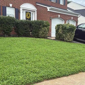 Bush Trimming by McGuire Lawn &amp; Leaf reviewed on November 10, 2025