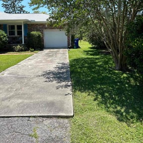 yard maintenance by Charleston Green Team LLC. reviewed on August 18, 2025