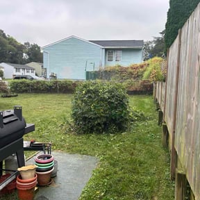 Bush Trimming by Iowa Lawn and Plow, LLC reviewed on November 10, 2025