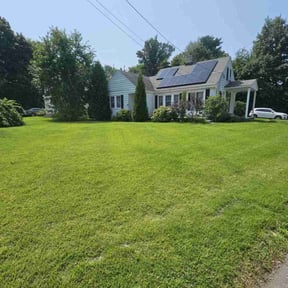 yard service by Allen Investments reviewed on August 15, 2025