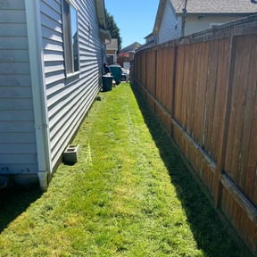 grass maintenance by Cheno Enterprise reviewed on April 1, 2025