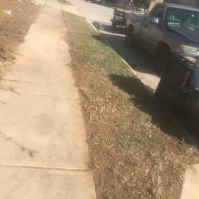 Leaf Removal by Norman Harris reviewed on March 22, 2026