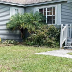 Bush Trimming by Cornerstone landscape & design reviewed on August 15, 2025