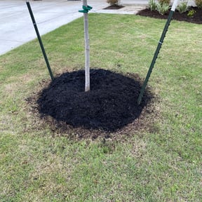 Flower Bed Weeding by Happy lawns reviewed on August 20, 2025