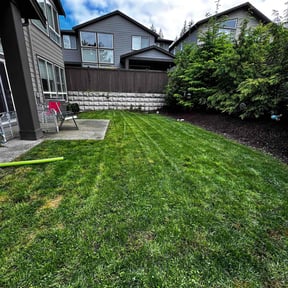 lawn care services by Sammy's Lawn Care reviewed on May 11, 2024