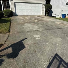 Bush Trimming by Go Turf Guy reviewed on November 10, 2025