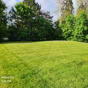 grass cutting by CT Mowing reviewed on August 19, 2025