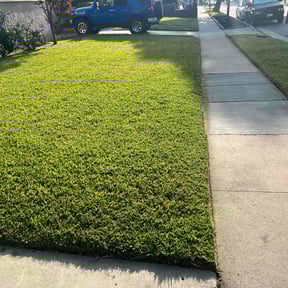 yard maintenance by Forever Green FG LLC reviewed on January 7, 2026