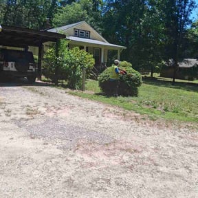 Bush Trimming by Dee's lawn care reviewed on May 15, 2026