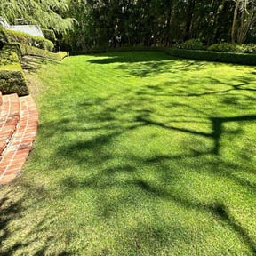 lawn service by Mario reviewed on August 19, 2025