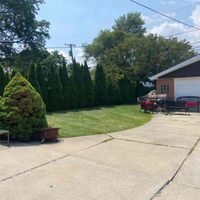 yard maintenance by BLC3 LLC / Turf Guys reviewed on August 21, 2025