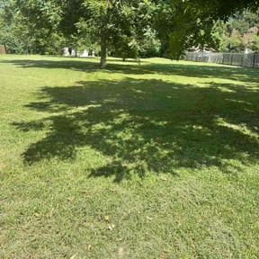 yard service by G E D Services LLC reviewed on August 15, 2025