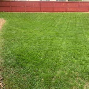 landscape maintenance by Nuk's landscaping and irrigation llc reviewed on November 23, 2025