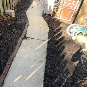 Flower Bed Weeding by Joe Molinaro reviewed on August 21, 2025