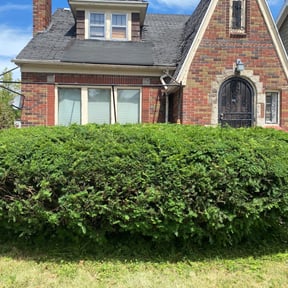 Bush Trimming by CM Landscaping reviewed on August 19, 2025