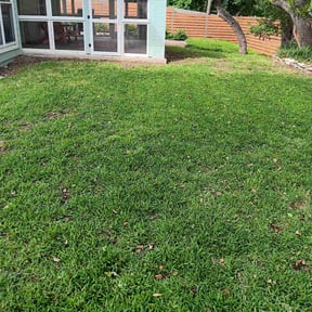 yard care by Cut reviewed on August 21, 2025