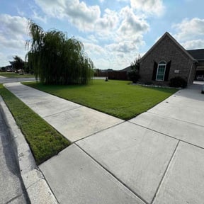 landscaping by Affordable Greens EST.2021 reviewed on January 26, 2026