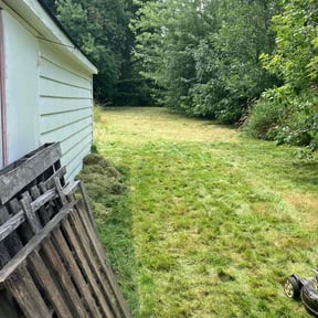 Leaf Removal by M&amp;MYardGuys reviewed on September 6, 2025