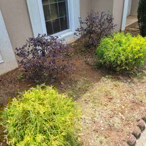 Bush Trimming by Oklahoma's Best Lawn Care reviewed on August 18, 2025