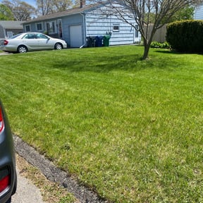 yard service by N.A.L Landscaping and Services LLC reviewed on August 16, 2025