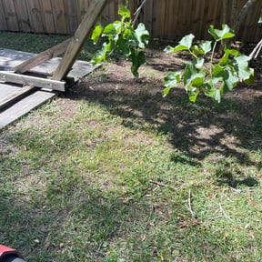 Leaf Removal by 5280 Lawns Llc reviewed on September 29, 2025