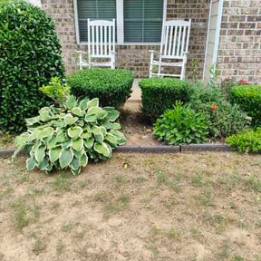 Flower Bed Weeding by Type A Lawn Guy reviewed on June 11, 2026