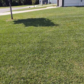 lawn service by Restore Industrial reviewed on August 16, 2025