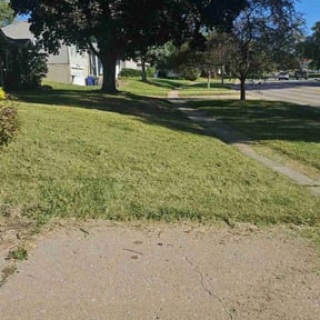 lawn care by Ashlock Removal Service LLC reviewed on May 16, 2024