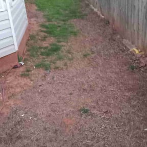 Leaf Removal by DMX Lawn &amp; Landscape reviewed on September 15, 2025