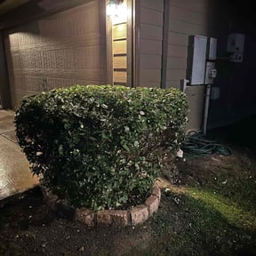 Bush Trimming by J&j lawn care reviewed on August 18, 2025