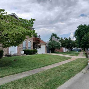 yard work by Thomas Enterprise LLC reviewed on August 21, 2025