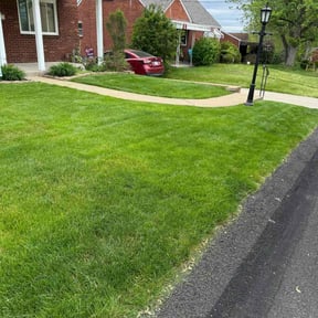 grass maintenance by B&amp;C Lawn and Landscaping LLC reviewed on August 19, 2025