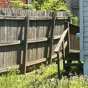 Bush Trimming by Thomas Scott Landscaping reviewed on August 21, 2025