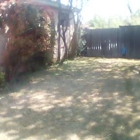 Bush Trimming by KC Lawns Unlimited LLC reviewed on August 21, 2025