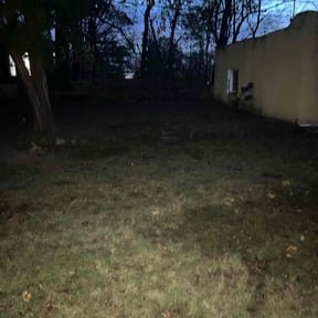 Leaf Removal by SJS landscaping reviewed on August 15, 2025