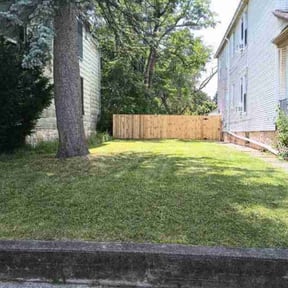 turf care by Pro lawn service reviewed on March 23, 2024