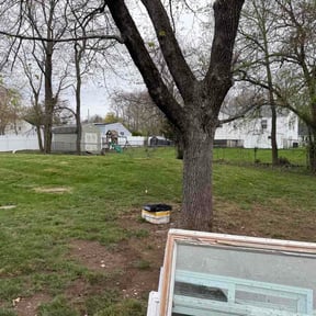 Leaf Removal by Sumner Property Management reviewed on October 15, 2026