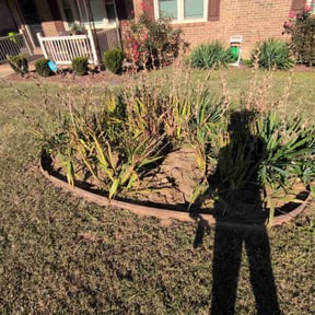 Flower Bed Weeding by Soto landscape reviewed on August 12, 2025