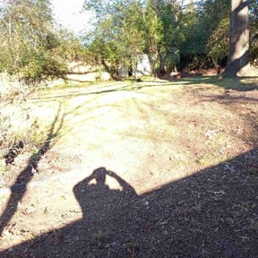 Leaf Removal by All Turf &amp; Terrain reviewed on October 3, 2025