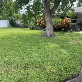 landscape maintenance by Rich Off Lawns reviewed on August 19, 2025